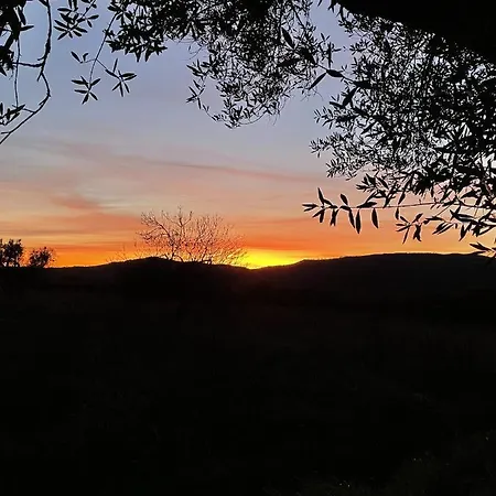 Agriturismo Pietramora Farm stay *