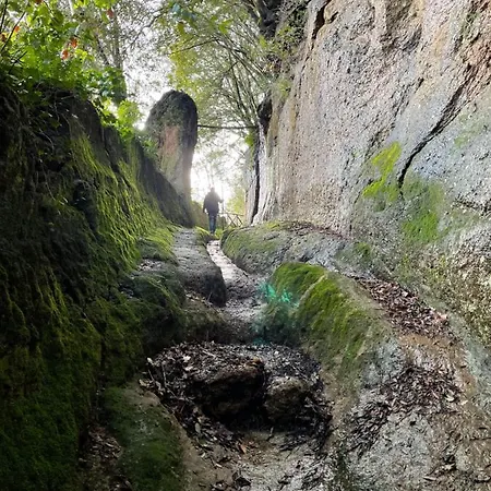 Pietramora Alojamento de Turismo Rural